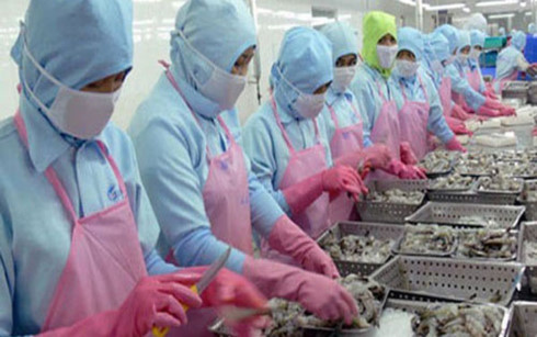 Xuất khẩu vào thị trường Hàn Quốc: Cửa mở nhưng vẫn khó khăn