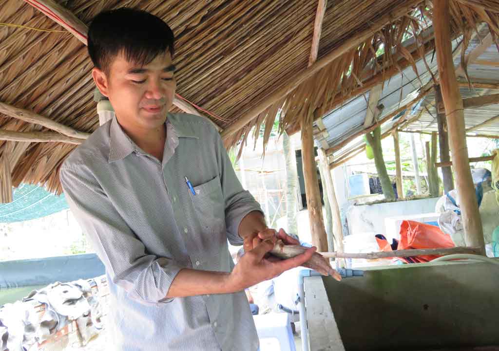 Thanh niên lập thân, lập nghiệp “Khát” nguồn vốn ưu đãi