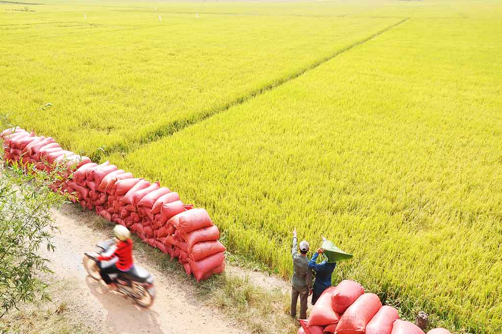 Dựa vào sức dân trong công cuộc đổi mới