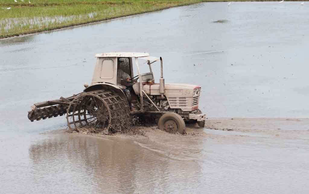 Diện mạo mới ở vùng biên Thạnh Trị