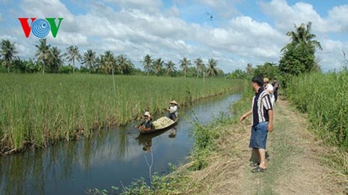 Phát triển bền vững ĐBSCL ưu tiên thủy sản, cây ăn trái và lúa