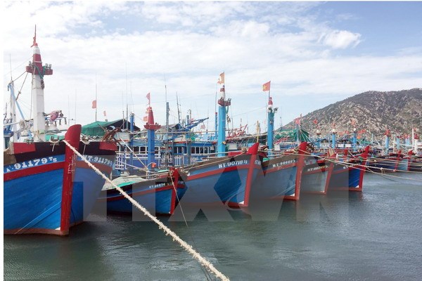 Cứu nạn thành công 13 ngư dân bị trôi dạt trước khi bão đổ bộ vào biển