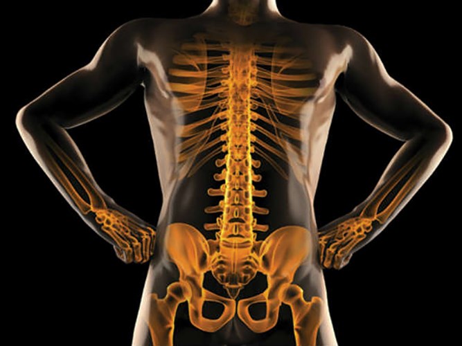 Cải thiện sức khoẻ xương: Mít giàu canxi giúp xương chắc khỏe và ngăn ngừa chứng loãng xương. Mức độ kali cao cũng làm giảm sự mất canxi qua thận và tăng mật độ xương. Nó cũng chứa magiê giúp tăng cường xương và ngăn ngừa thoái hoá xương ở người già.