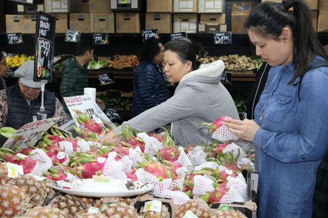 Khách hàng nước ngoài chọn mua thanh long Việt Nam tại chợ Footscray ở Melbourne. (Ảnh: Khánh Linh/TTXVN)