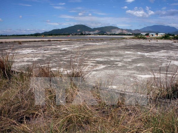 USAID helps with dioxin remediation at Bien Hoa Airport Bien Hoa Airport is considered as one of the dioxin hot spots in the country due to its high level of the chemical. (Source: VNA)