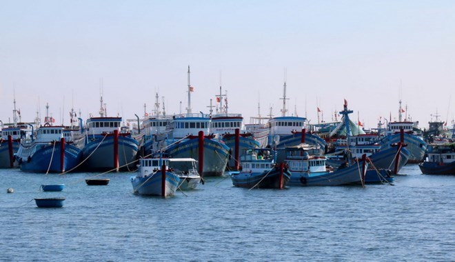 Đội tàu đánh bắt xa bờ của huyện đảo Phú Quý. (Ảnh : Nguyễn Thanh/TTXVN)
