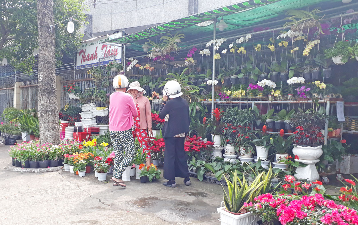 Thị trường hoa tết năm nay có thêm một số loại hoa kiểng đẹp, lạ