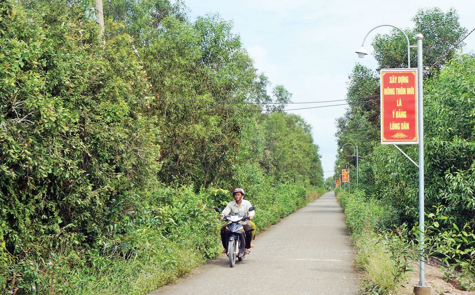 Tuyến đường Trung Tâm qua ấp 2, xã Tân Tây, huyện Thạnh Hóa được mở rộng, đổ đal
