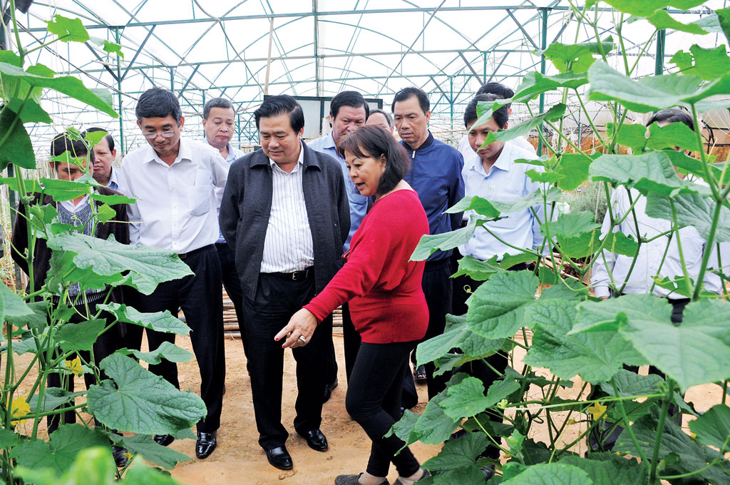 Bí thư Tỉnh ủy - Phạm Văn Rạnh tham quan mô hình trồng rau ứng dụng công nghệ cao tại Lâm Đồng để ứng dụng ở Long An Ảnh: MHD