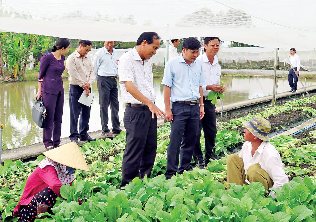 Khảo sát nông nghiệp ứng dụng công nghệ cao tại huyện Cần Ðước