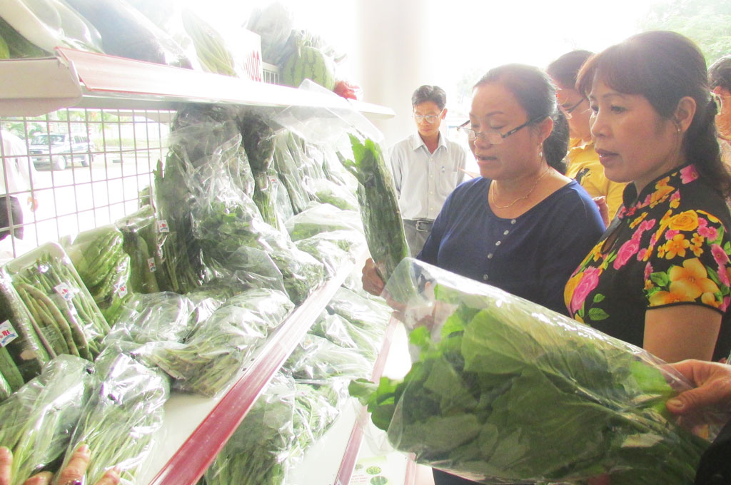 Sản xuất rau ứng dụng công nghệ cao còn nhiều khó khăn