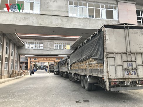Xe nông sản đợi làm thủ tục tại cửa khẩu Tân Thanh, Lạng Sơn (Ảnh: Văn Hiếu, Thành Trung)