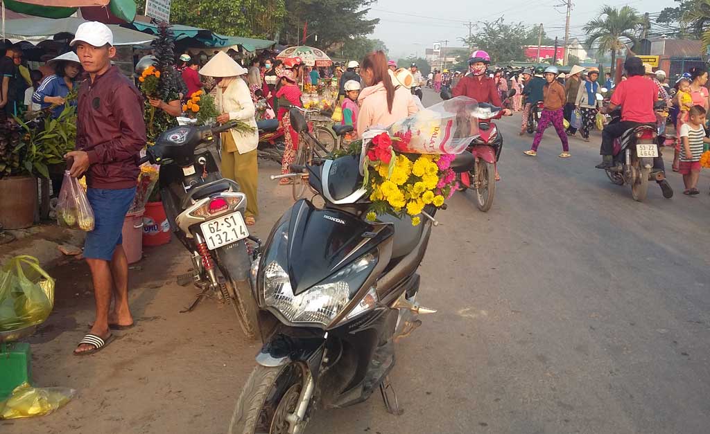 Những chiếc xe chở 