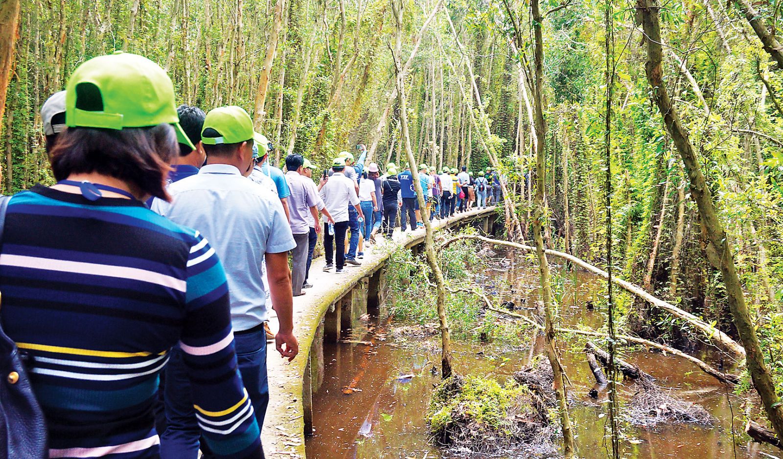 Long An develops unique tourism products to attract more visitors