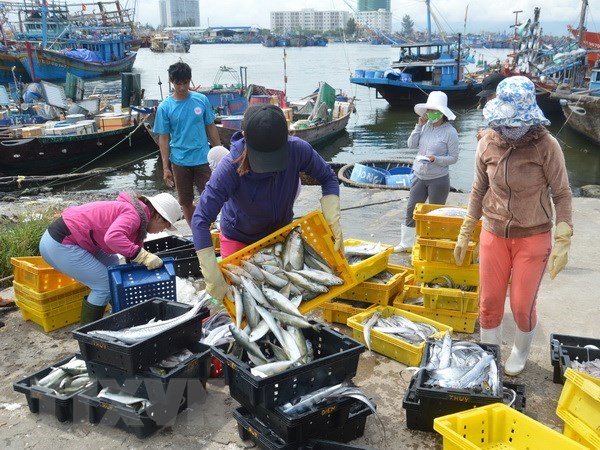 Khai thác thủy sản: Khắc phục "thẻ vàng," gấp rút lấy lại "thẻ xanh"