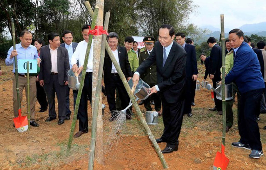 President launches New Year tree planting festival