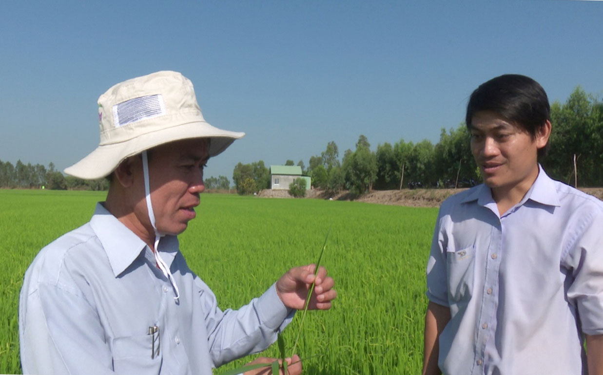 Phó Chủ tịch UBND huyện Mộc Hóa - Trần Văn Danh (bên trái) trao đổi với cán bộ nông nghiệp huyện tại buổi thăm đồng