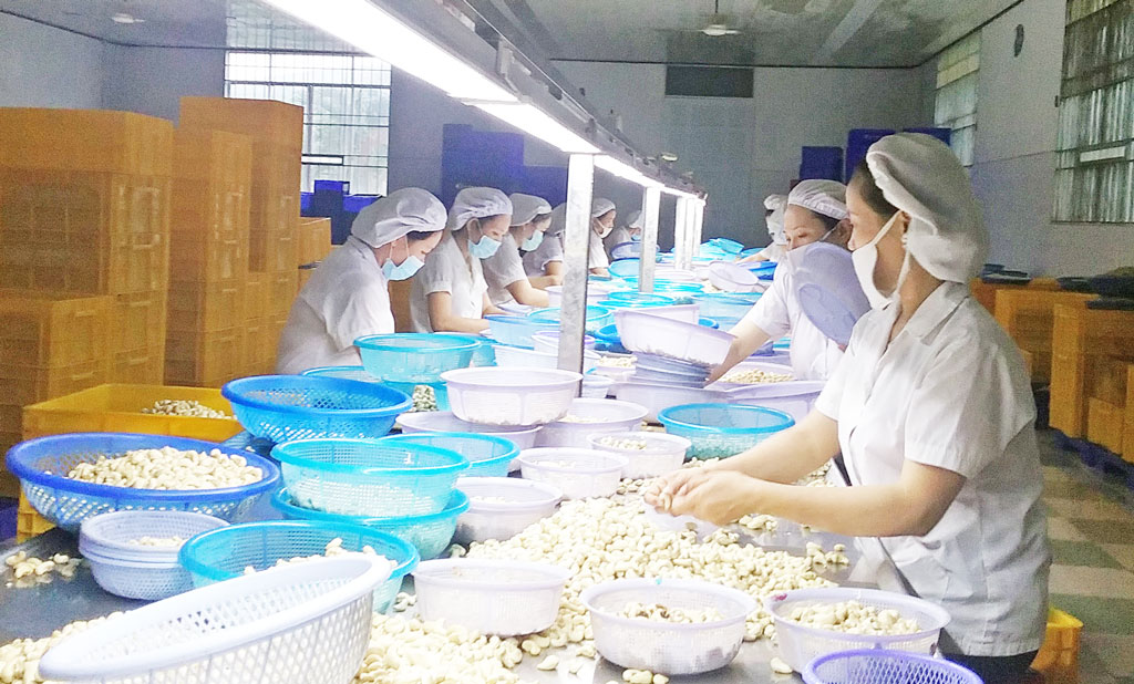 Công nhân phấn khởi trở lại làm việc sau tết