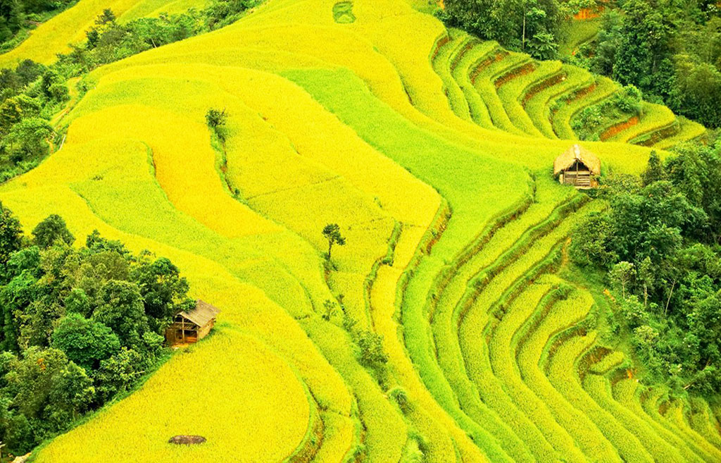 Nhiếp ảnh gia - Đâu chỉ có đi và chụp Phong cảnh thiên nhiên có sức hút mãnh liệt với Nghệ sĩ nhiếp ảnh xuất sắc Phạm Tên (Trong ảnh: ảnh chụp ruộng bậc thang của Nghệ sĩ nhiếp ảnh xuất sắc Phạm Tên - Ảnh do nhân vật cung cấp)