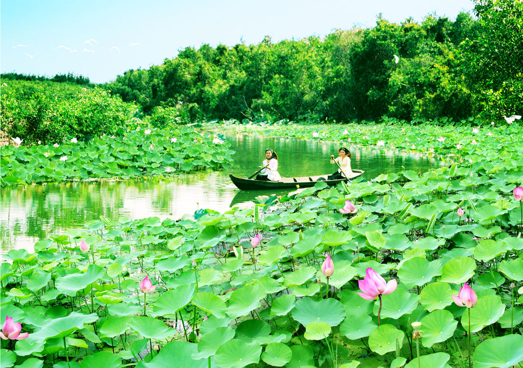 Tác phẩm Hương sen Tháp Mười của nghệ sĩ nhiếp ảnh Hữu Lý được xem như một biểu tượng của Long An (Ảnh do nhân vật cung cấp)