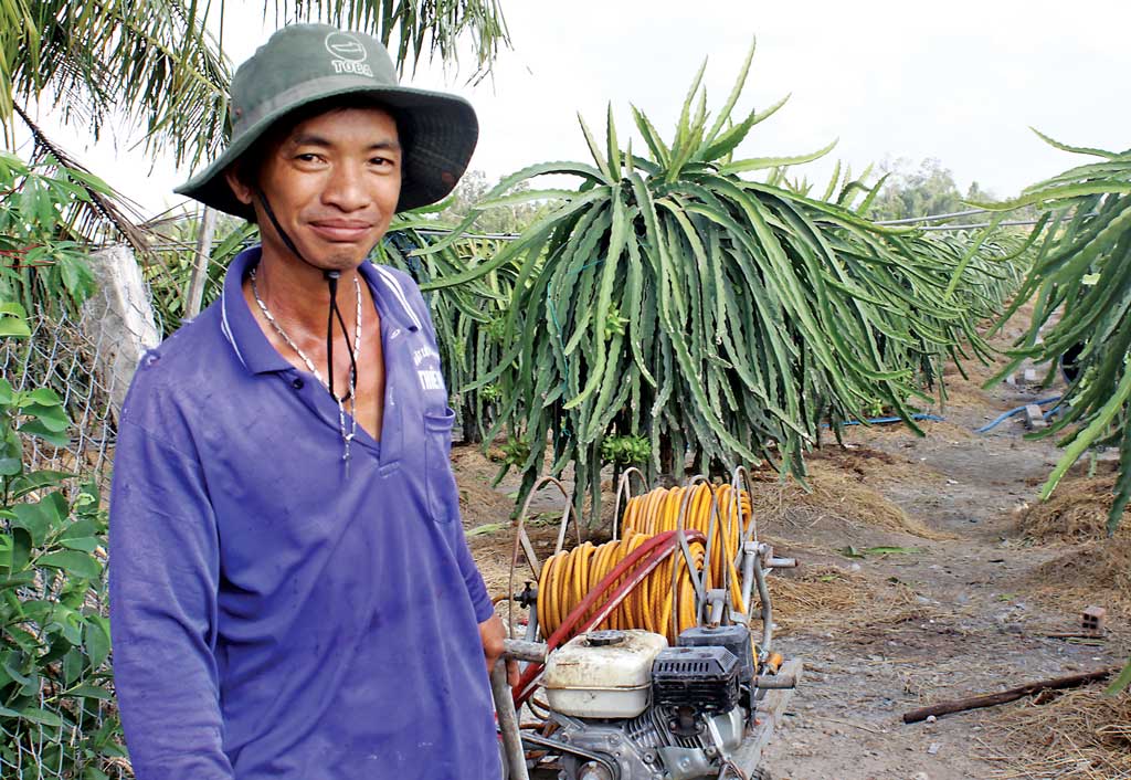 Thông qua Đoàn Thanh niên, anh Võ Khắc Phong tiếp cận được vốn vay ưu đãi để đầu tư trồng thanh long