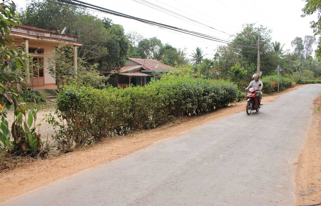 Thái Trị có 14,4km đường trục xã, liên xã được nhựa hóa