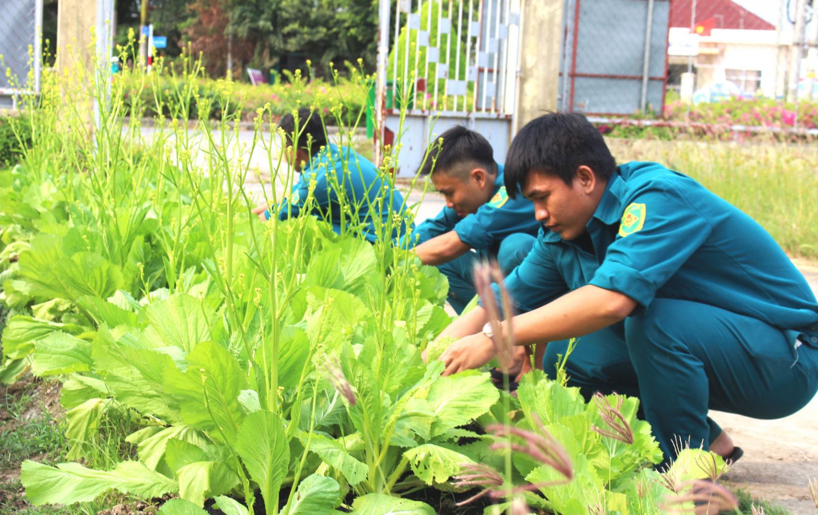 Lực lượng dân quân xã Nhơn Thạnh Trung tăng gia sản xuất, cải thiện đời sống