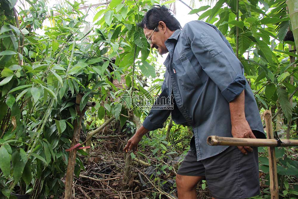 Ông Minh chỉ nơi tìm thấy phần đầu của nạn nhân