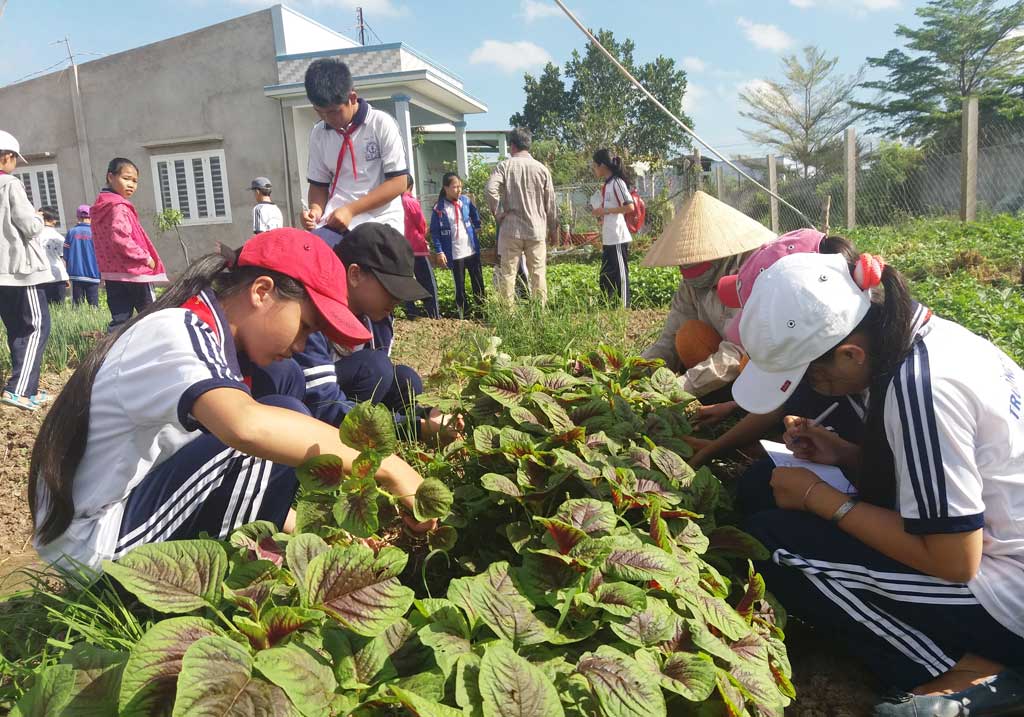 Học sinh Trường THCS Mỹ Lệ tham quan vườn rau của nông dân