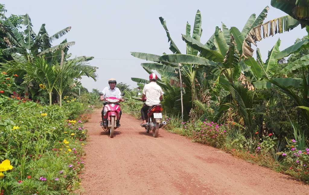Bắc Hòa đổi mới Nhiều hộ dân chủ động trồng hoa dọc các tuyến đường nông thôn