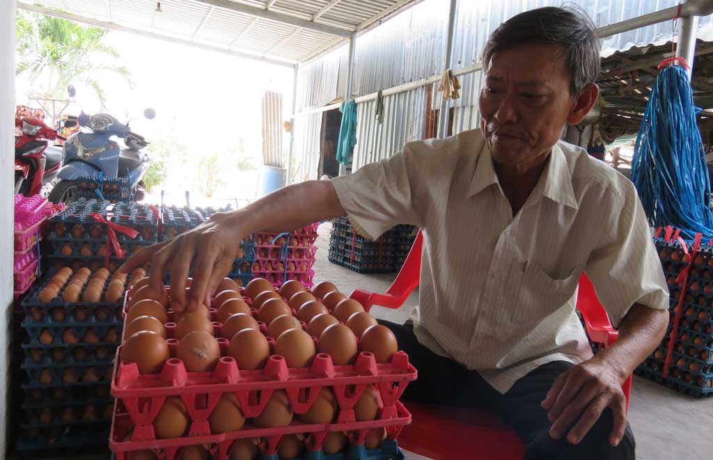 Ông Nguyễn Hoàng Ơn cho biết, vẫn thích bán trứng gà cho doanh nghiệp vì không ảnh hưởng “được mùa, rớt giá”