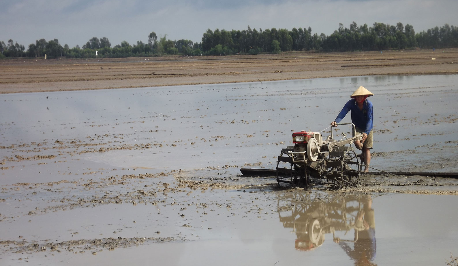 Nông dân cần tuân thủ lịch gieo sạ mà ngành nông nghiệp đưa ra