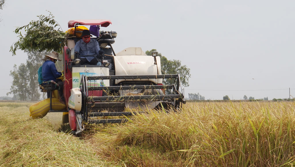 Vĩnh Trị phát huy thế mạnh nông nghiệp