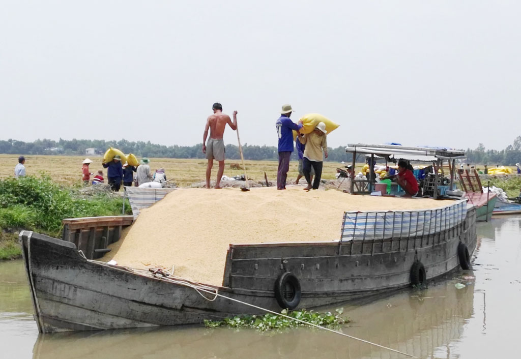 Vĩnh Trị phát huy thế mạnh nông nghiệp Hệ thống kênh, mương nội đồng được nạo vét, khơi thông dòng chảy, tạo thuận lợi trong sản xuất và vận chuyển nông sản