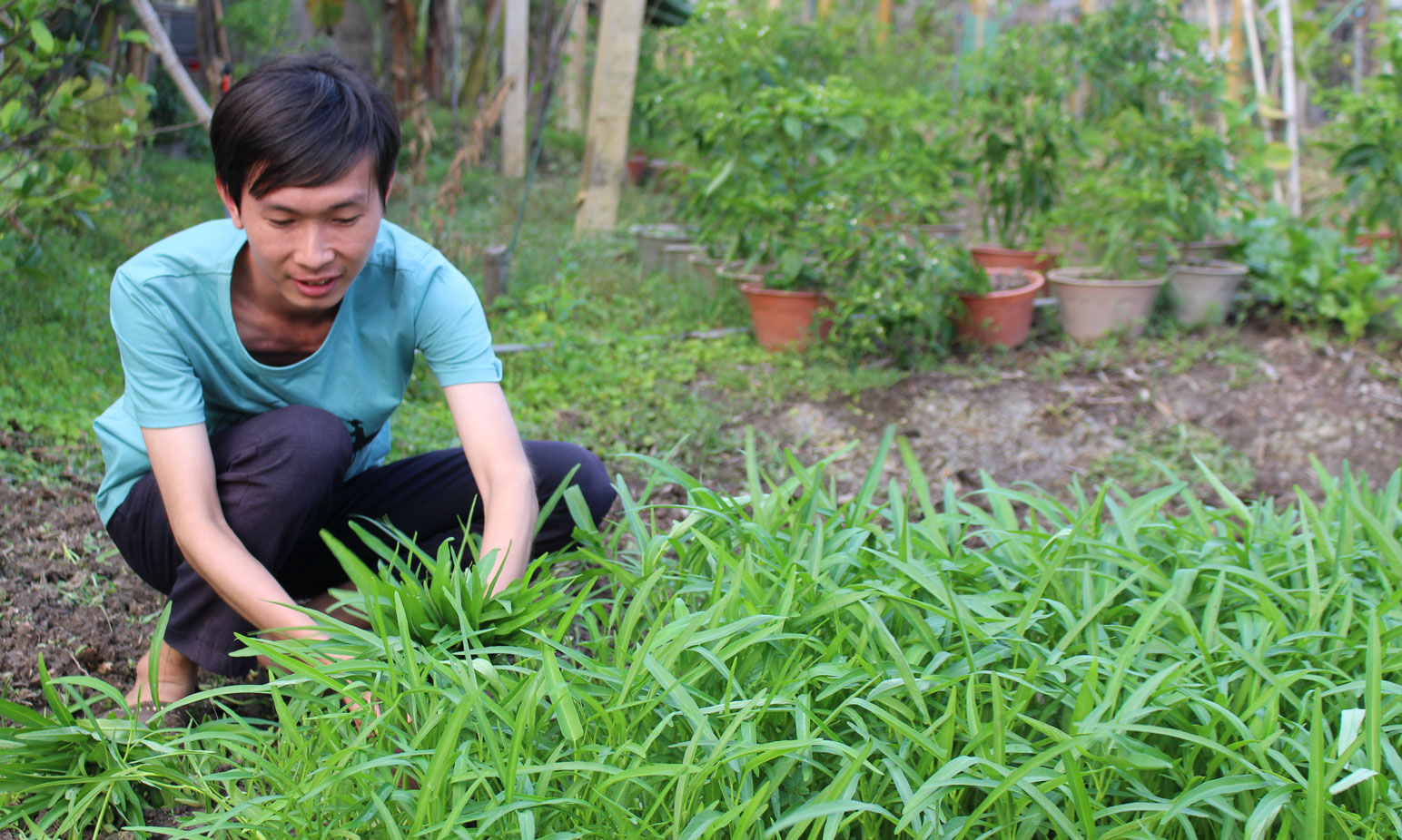 Thanh niên nông thôn còn gặp nhiều khó khăn trong tiếp cận nguồn vốn vay ưu đãi