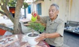 Người lính Cụ Hồ ngày ấy - bây giờ