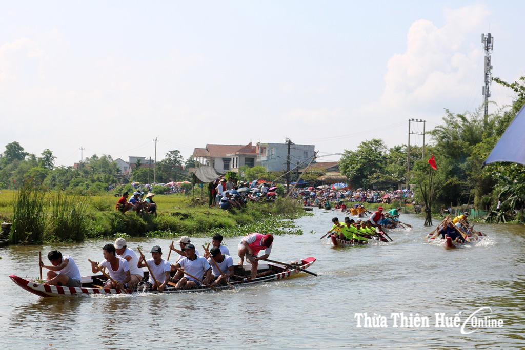 Đua ghe trên sông  Như Ý