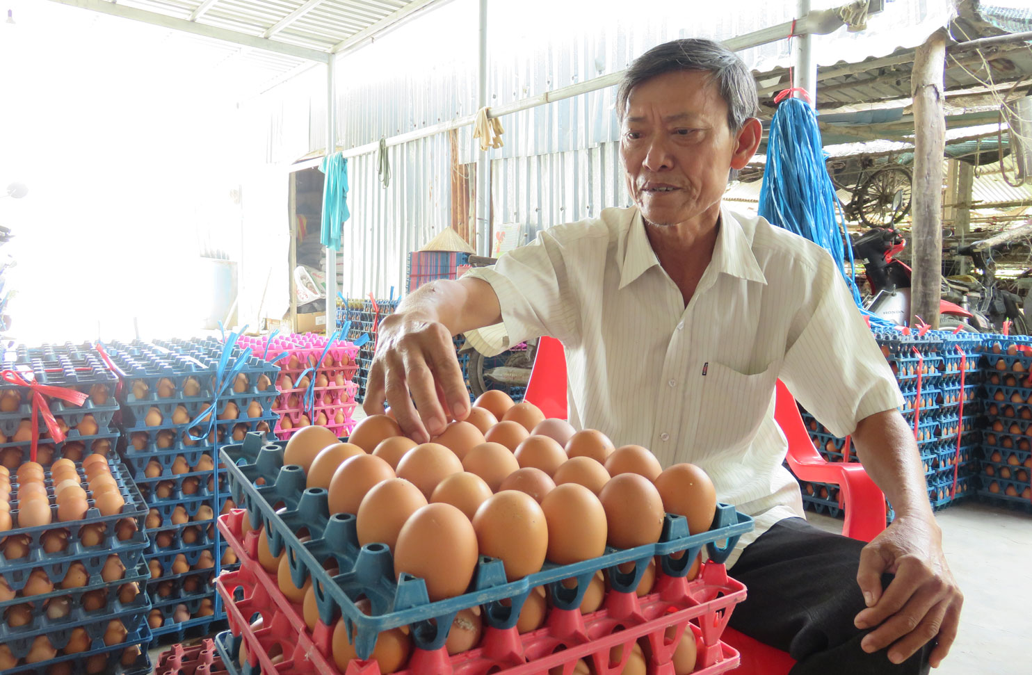 Ông Nguyễn Hoàng Ơn, ngụ ấp Thuận Đông, xã Thuận Thành, huyện Cần Giuộc, đầu tư nuôi 11.000 con gà đẻ trứng từ năm 2010 đến nay
