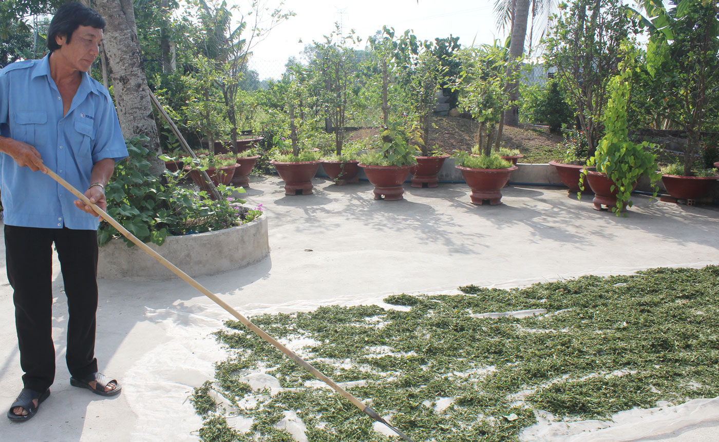 Học Bác lòng yêu thương con người Để có thuốc, ông Tài hỗ trợ chi phí cho đội ngũ đi tìm cây thuốc