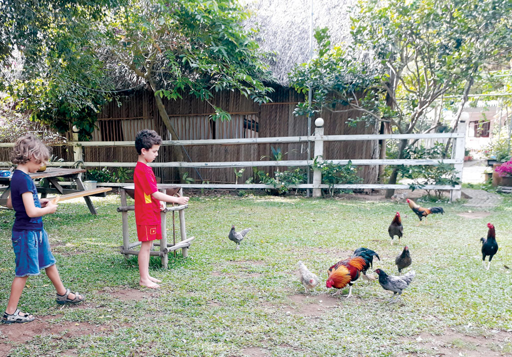Trải nghiệm du lịch homestay Hoạt động tại Happy Farm mang tính giáo dục cộng đồng cao