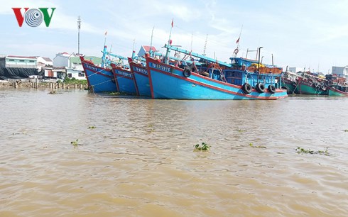 Một góc sông Tiền thuộc địa bàn Thành phố Mỹ Tho, tỉnh Tiền Giang
