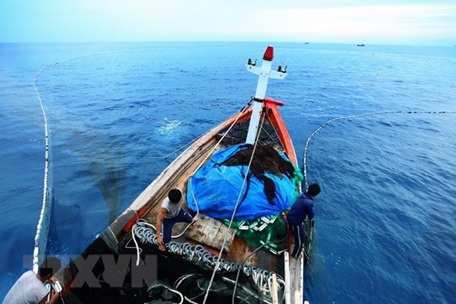 Quang Binh recovers after marine pollution