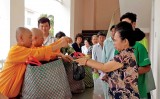 Những bông hoa trong vườn Bác Những bông hoa trong vườn Bác
