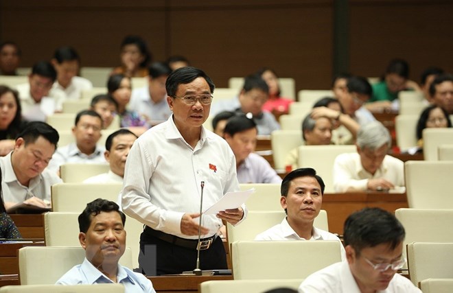Đại biểu Quốc hội tỉnh Thanh Hóa Mai Sỹ Diến phát biểu. (nh: Dương Giang/TTXVN)