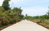 Sức bật từ học tập và làm theo gương Bác Sức bật từ học tập và làm theo gương Bác