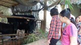 Những việc làm thiết thực ở một chi bộ Những việc làm thiết thực ở một chi bộ