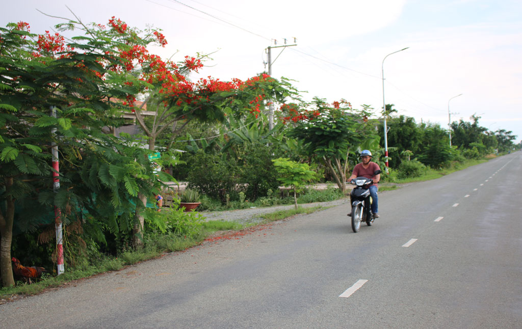 Đường quê xanh, sạch, đẹp