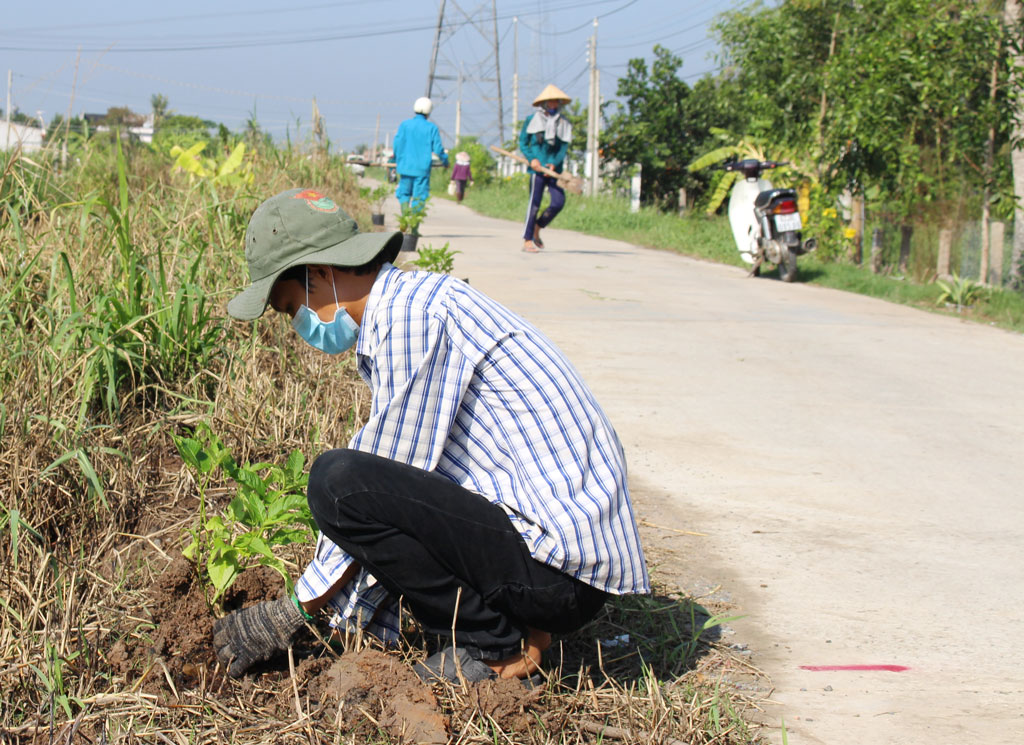 Thực hiện mô hình 3 sạch, người dân tham gia trồng cây xanh trên nhiều tuyến đường