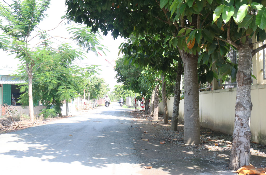 Xã Phước Hậu, huyện Cần Giuộc trồng hơn 2.000 cây xanh trên các tuyến đường, tạo cảnh quan môi trường (ảnh chụp tại đường Hủ Tíu)
