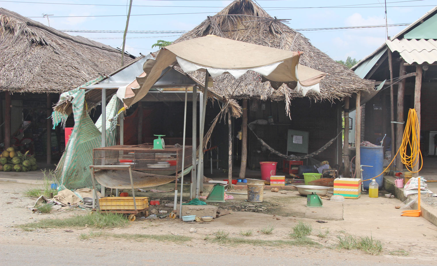 Hộ kinh doanh, giết mổ chuột đồng gây ô nhiễm môi trường, ảnh hưởng đến sức khỏe người dân xung quanh từ nhiều năm nay